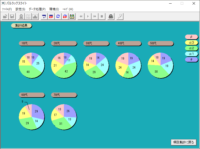 集計画面　円グラフ